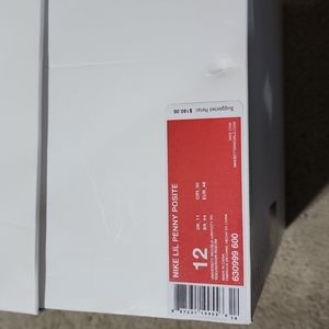 Nike basketball lil penny posite